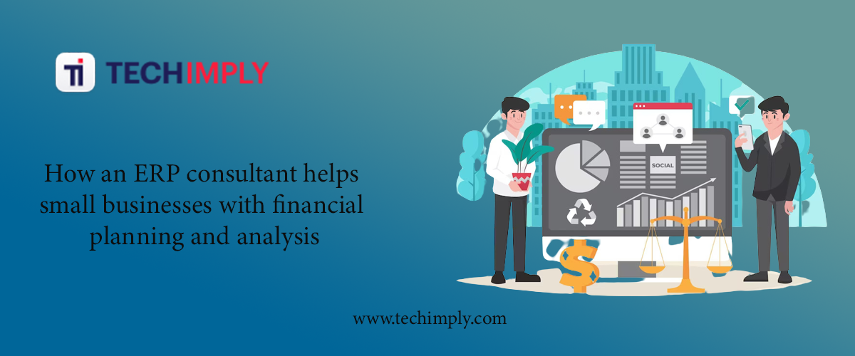 How an ERP consultant helps small businesses with financial planning and analysis